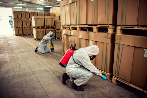 Best Wasp Removal Services  in Rector, AR