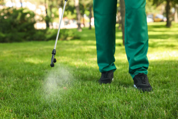 Best Emergency Pest Control  in Rector, AR