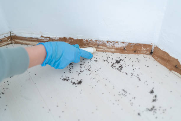 Best Commercial Pest Control Services  in Rector, AR