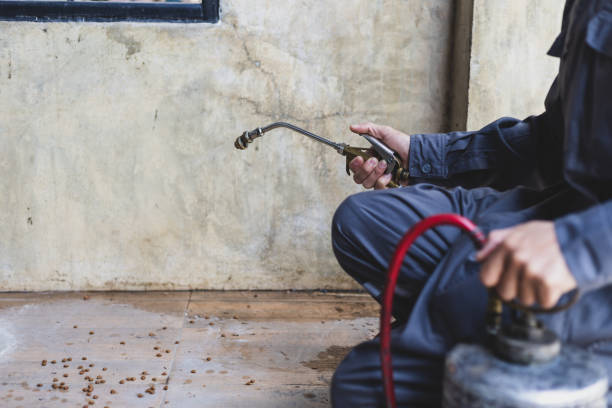 Best Pest Removal Services  in Rector, AR